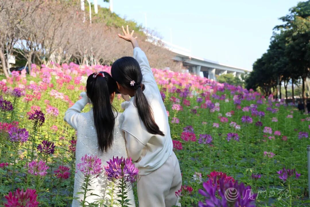 大反转!福建今天直冲30℃,马上又要降温、降雨! 大反转!福建今天直冲30℃,马上又要降温、降雨!