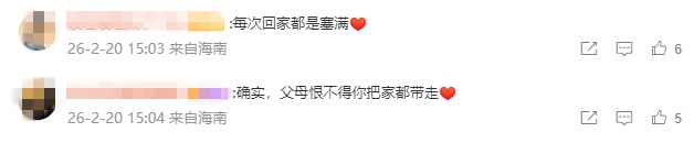 “妈，真的装不下了！”后备箱被爸妈塞了 “半个菜市场”，全国同款返程太真实了……