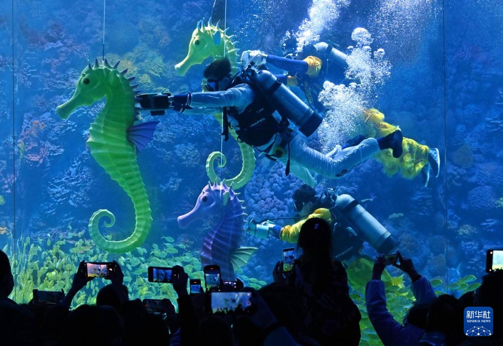 山东青岛：水下“赛马”贺新春