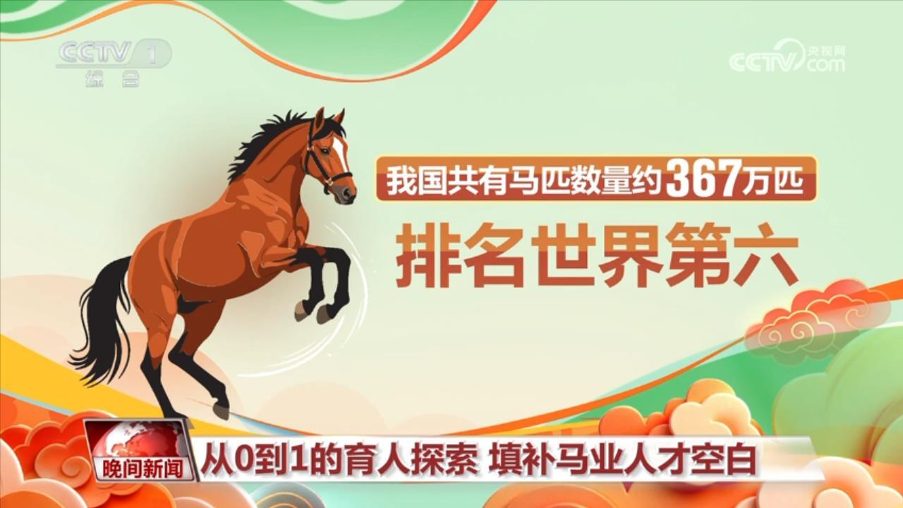 马年说马 我在大学学“养马”