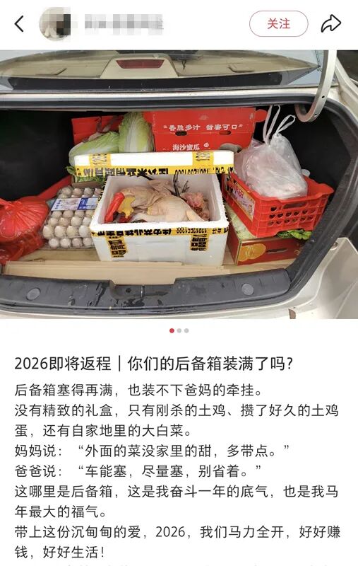 “妈，真的装不下了！”后备箱被爸妈塞了 “半个菜市场”，全国同款返程太真实了……