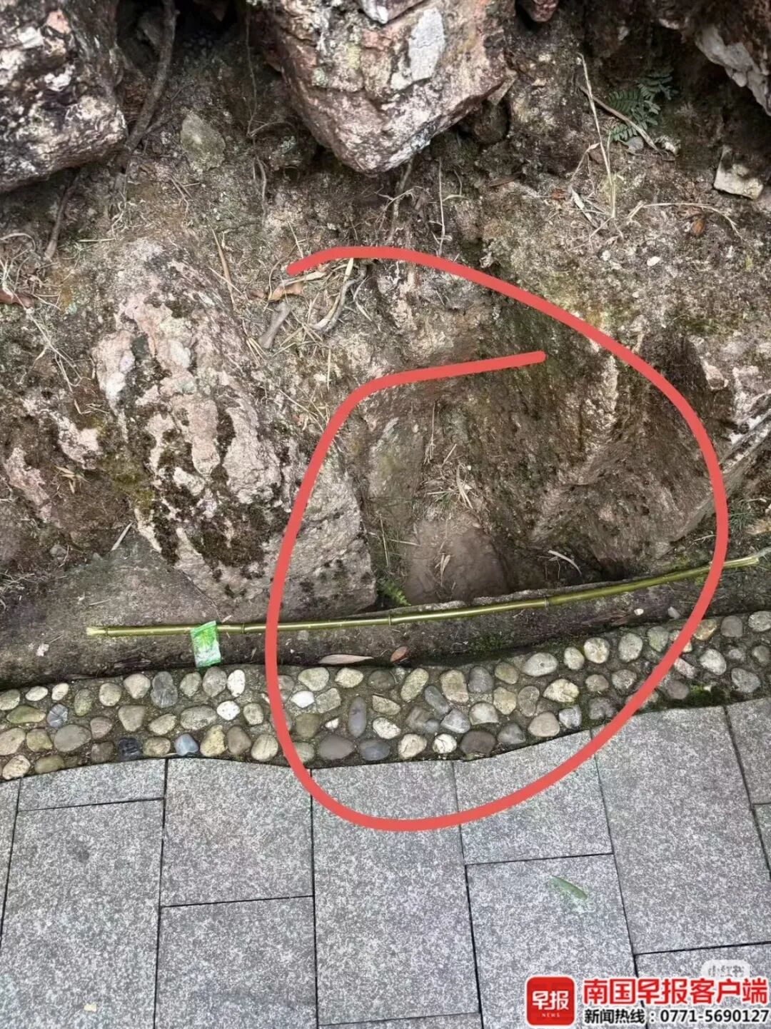 10岁男孩在景区踩空落崖，当地通报