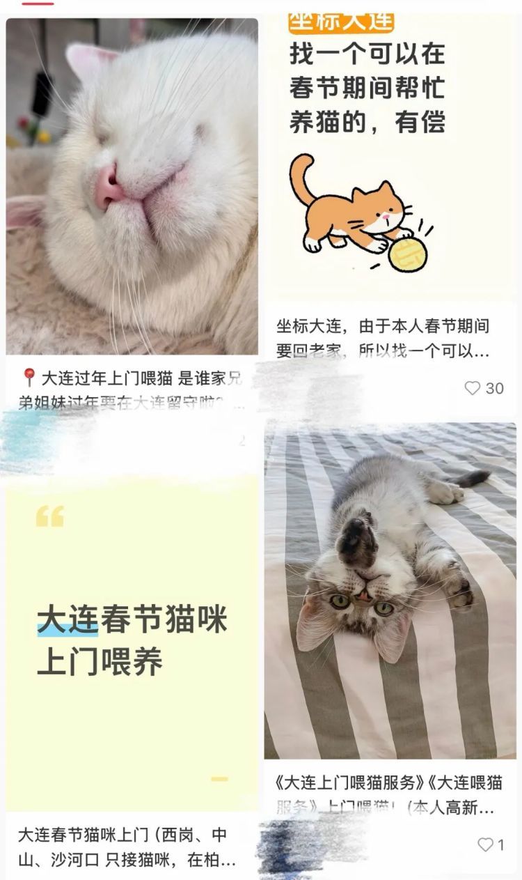 猫咪狗儿“别墅”抢破头,兔子仓鼠住进“恒温房”!大连寄养宠物被宠上天了 猫咪狗儿“别墅”抢破头,兔子仓鼠住进“恒温房”!大连寄养宠物被宠上天了