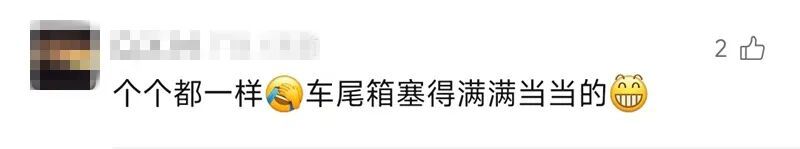 “妈，真的装不下了！”后备箱被爸妈塞了 “半个菜市场”，全国同款返程太真实了……