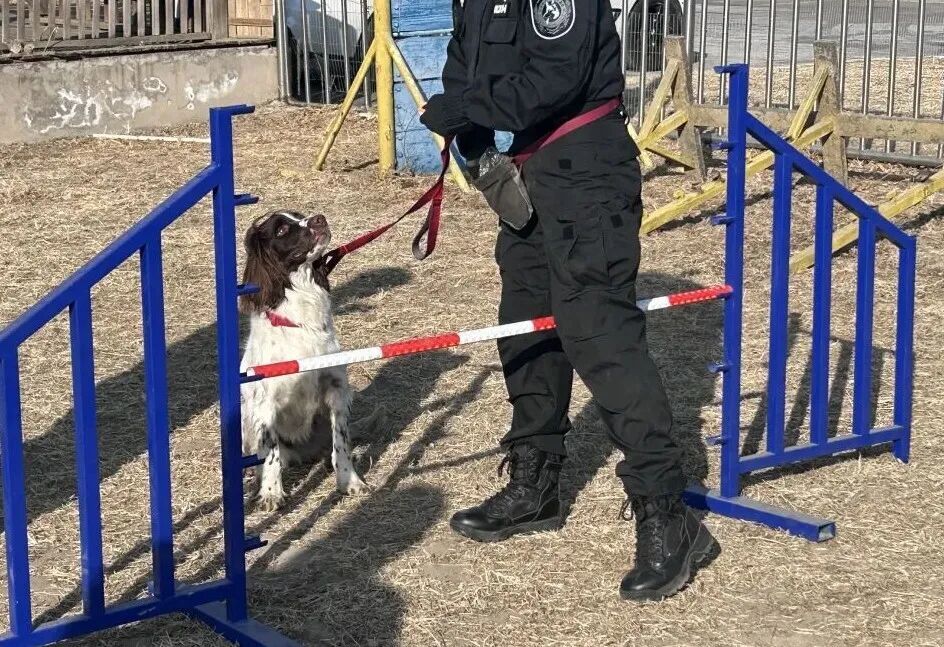 “这是世界上最好的工作”