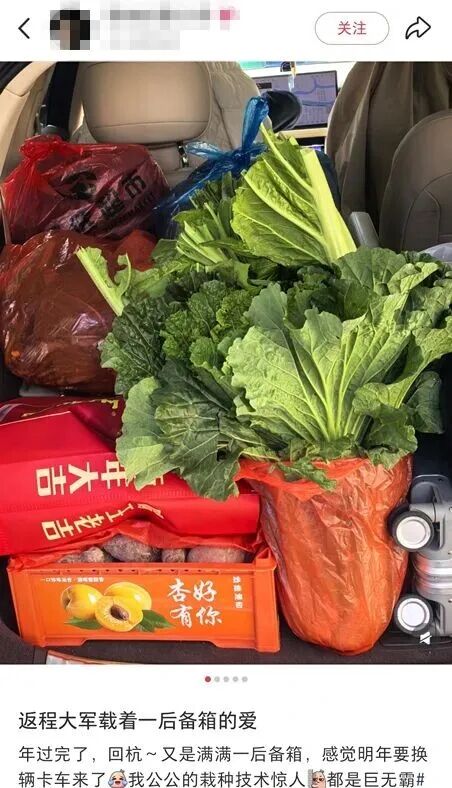 “妈，真的装不下了！”后备箱被爸妈塞了 “半个菜市场”，全国同款返程太真实了……