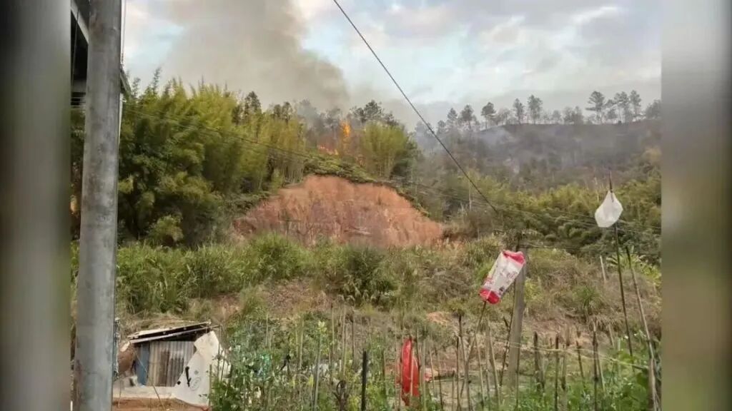 1天内连发5起森林火情，均因违规燃放烟花爆竹