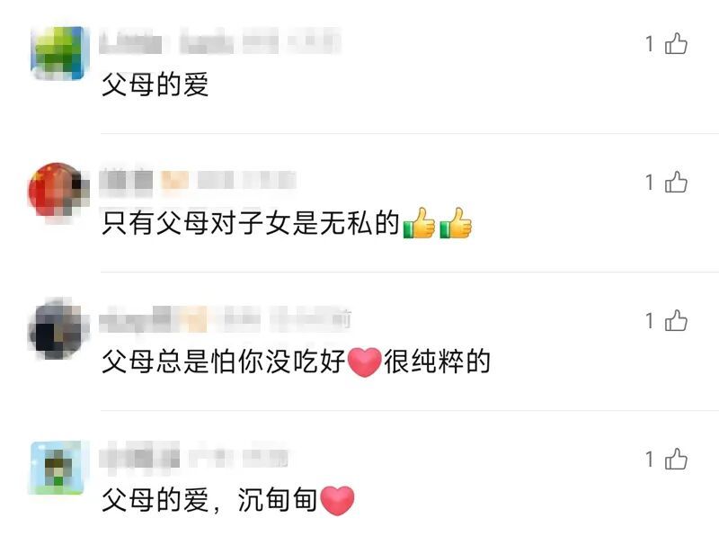 “妈，真的装不下了！”后备箱被爸妈塞了 “半个菜市场”，全国同款返程太真实了……