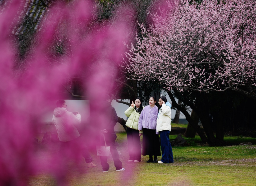 直冲24℃！武汉多地提前出现，“过年就没见过”
