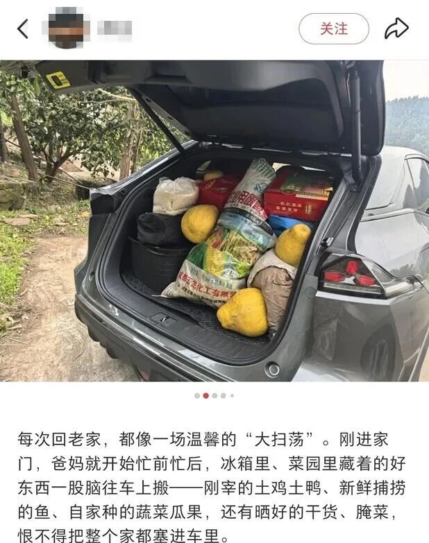 “妈，真的装不下了！”后备箱被爸妈塞了 “半个菜市场”，全国同款返程太真实了……