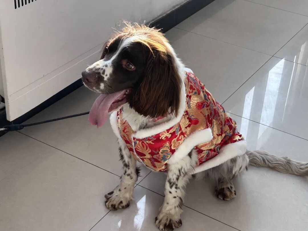 “这是世界上最好的工作”