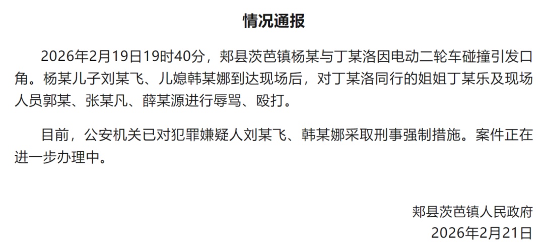 “河南平顶山15岁女孩被当街暴打”，官方通报