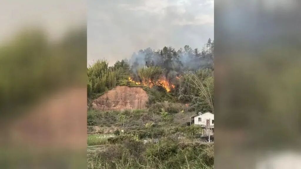 1天内连发5起森林火情，均因违规燃放烟花爆竹