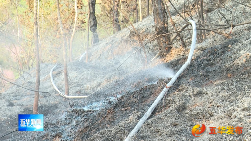 1天内连发5起森林火情，均因违规燃放烟花爆竹