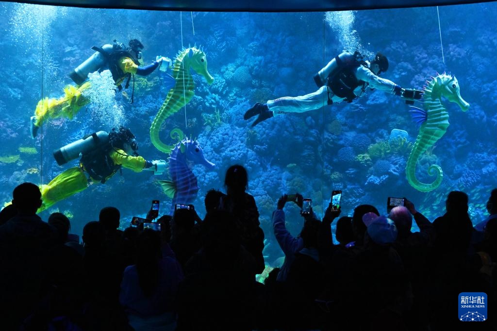 山东青岛：水下“赛马”贺新春