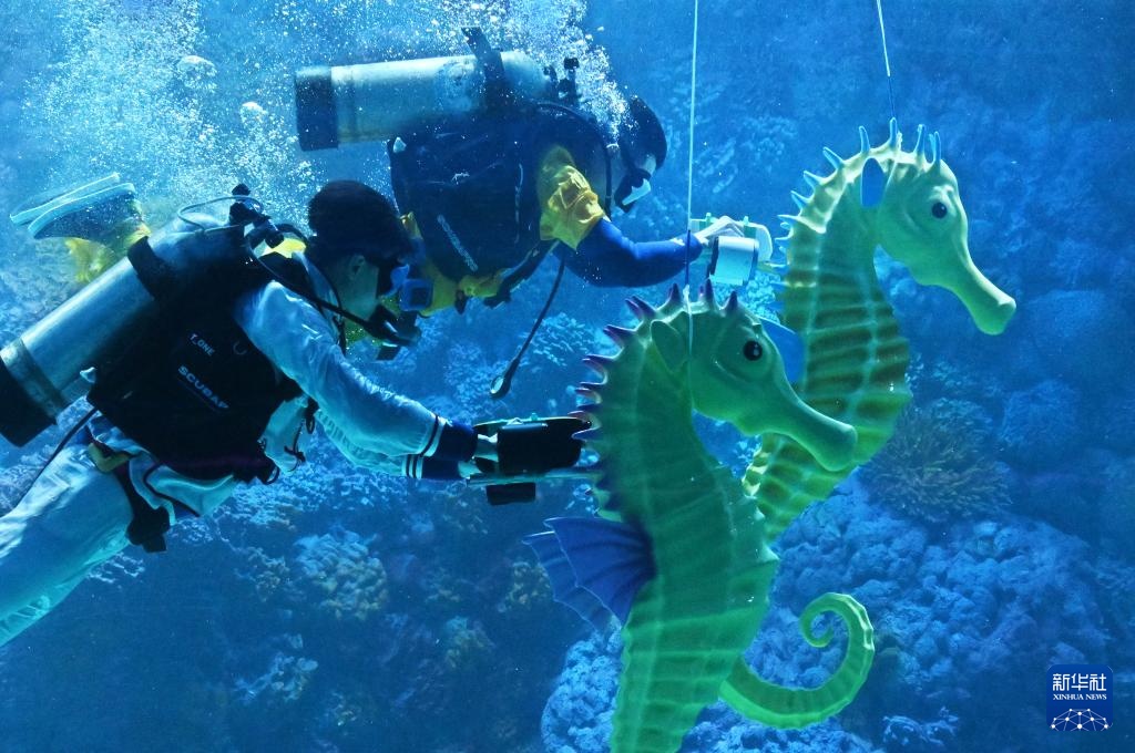 山东青岛：水下“赛马”贺新春