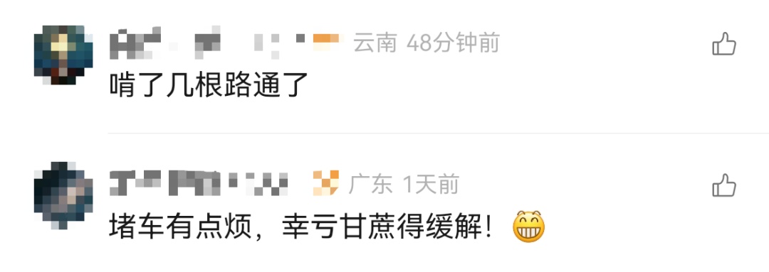 高速堵车一老板原地卖甘蔗走红，目击者：10元一根，不称重