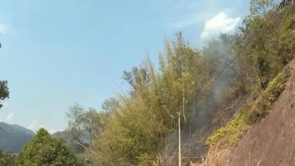 1天内连发5起森林火情，均因违规燃放烟花爆竹