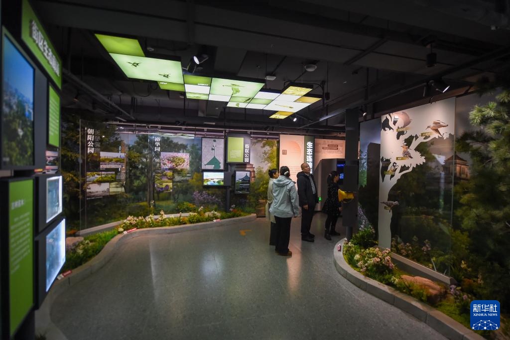 长春：文化惠民丰富春节假期生活