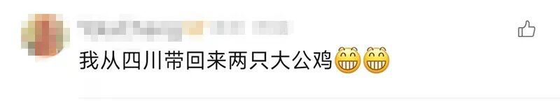 “妈，真的装不下了！”后备箱被爸妈塞了 “半个菜市场”，全国同款返程太真实了……