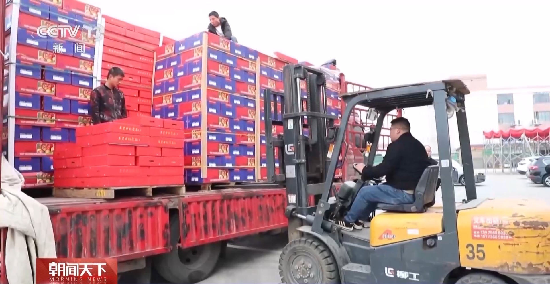 盘点新春“菜篮子” 这些都是森林食品