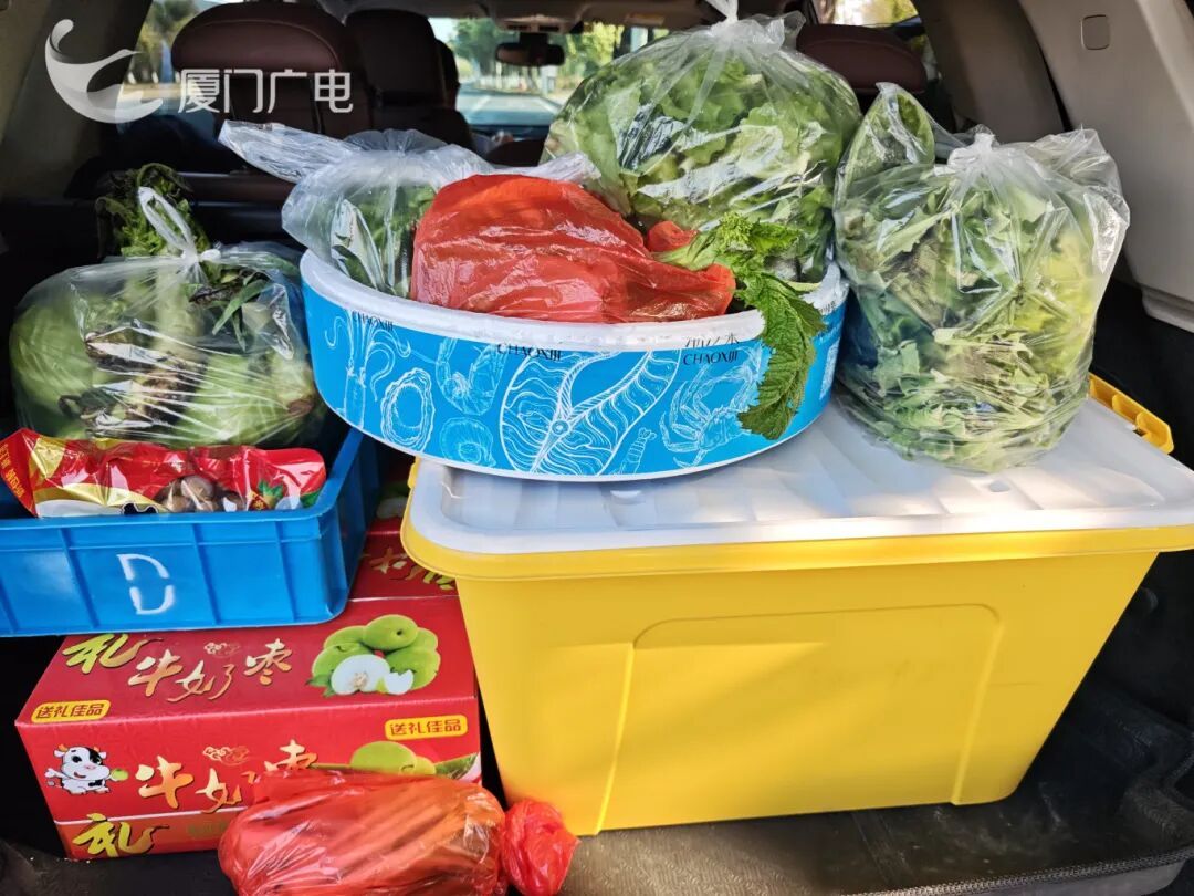 “妈，真的装不下了！”后备箱被爸妈塞了 “半个菜市场”，全国同款返程太真实了……