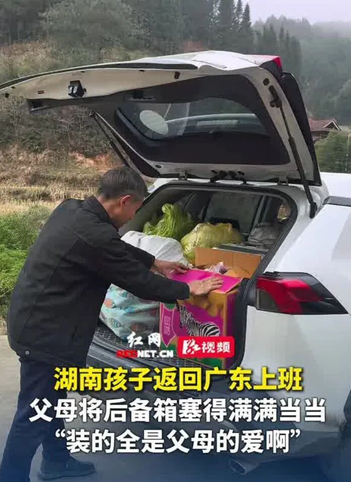 “妈，真的装不下了！”后备箱被爸妈塞了 “半个菜市场”，全国同款返程太真实了……