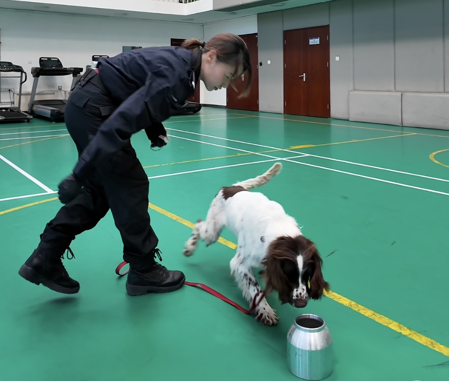 “这是世界上最好的工作”