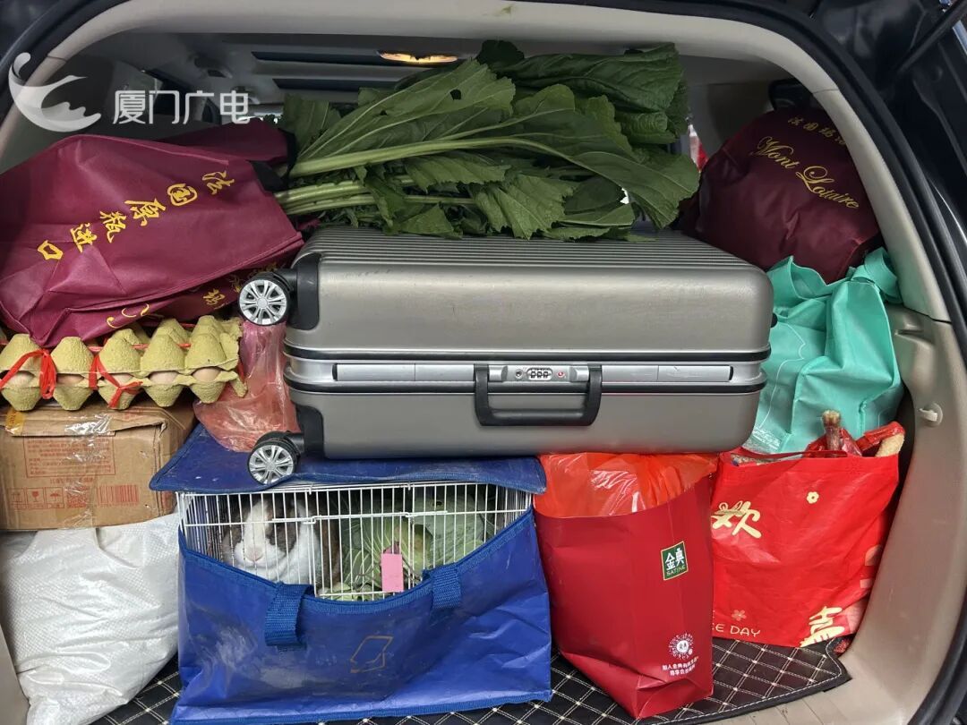 “妈，真的装不下了！”后备箱被爸妈塞了 “半个菜市场”，全国同款返程太真实了……
