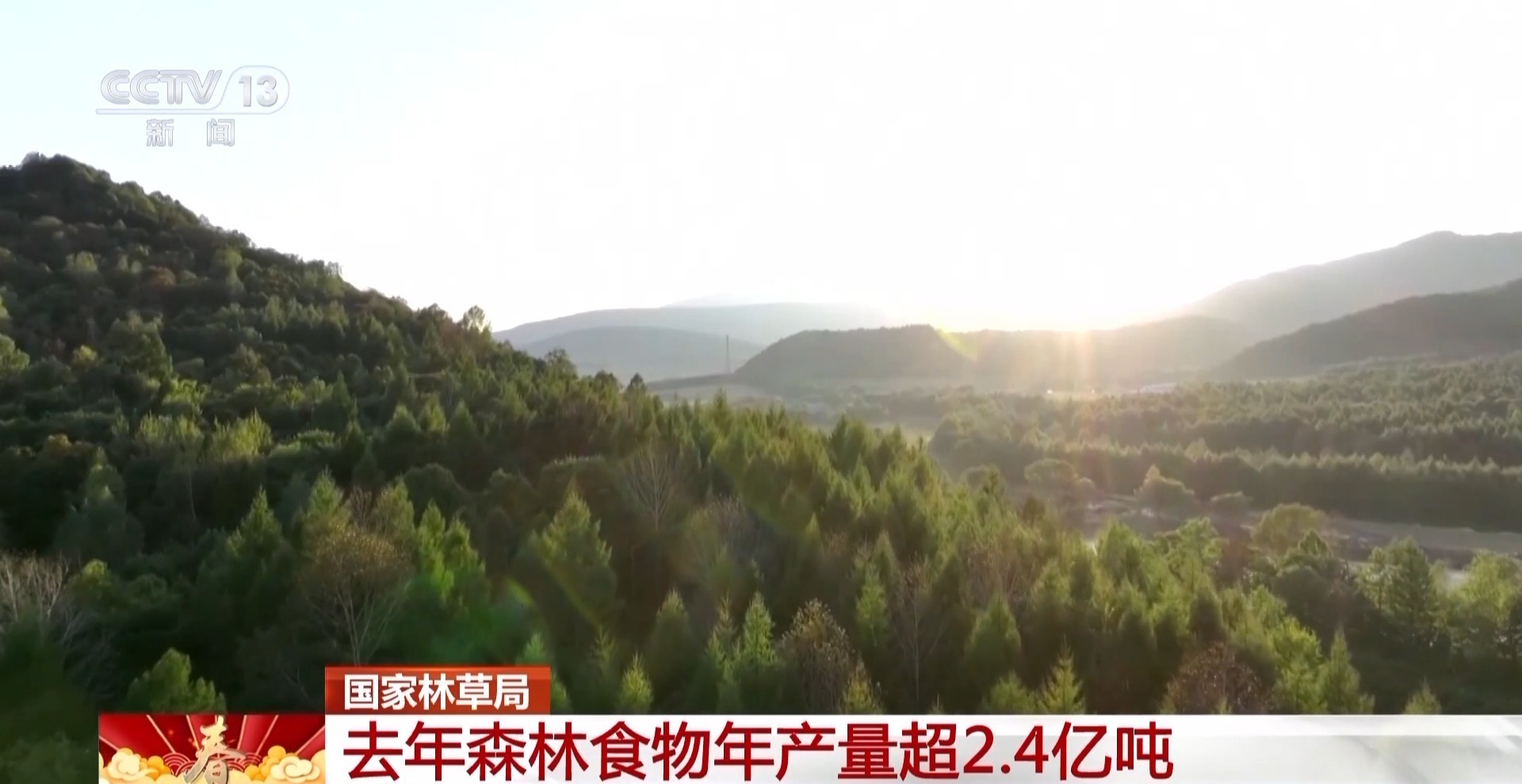 盘点新春“菜篮子” 这些都是森林食品