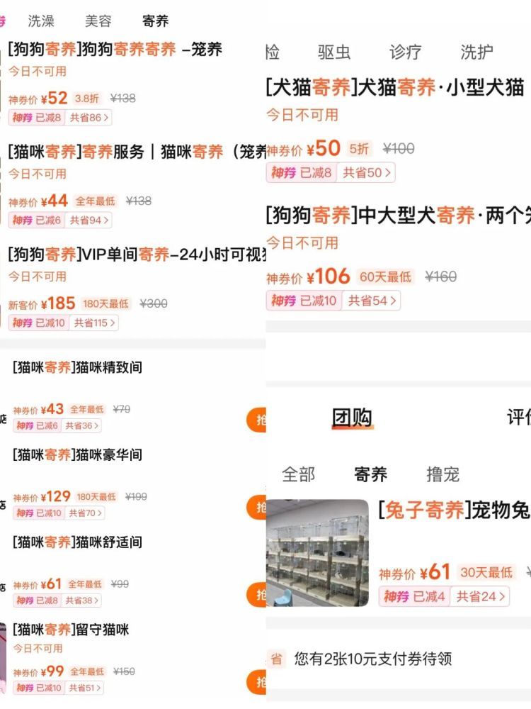 猫咪狗儿“别墅”抢破头,兔子仓鼠住进“恒温房”!大连寄养宠物被宠上天了 猫咪狗儿“别墅”抢破头,兔子仓鼠住进“恒温房”!大连寄养宠物被宠上天了