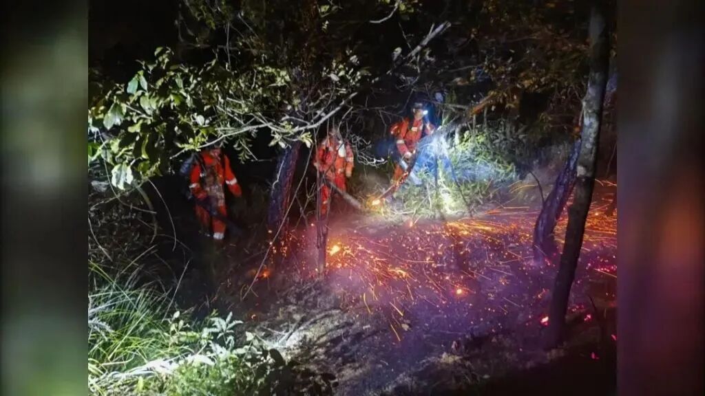 1天内连发5起森林火情，均因违规燃放烟花爆竹