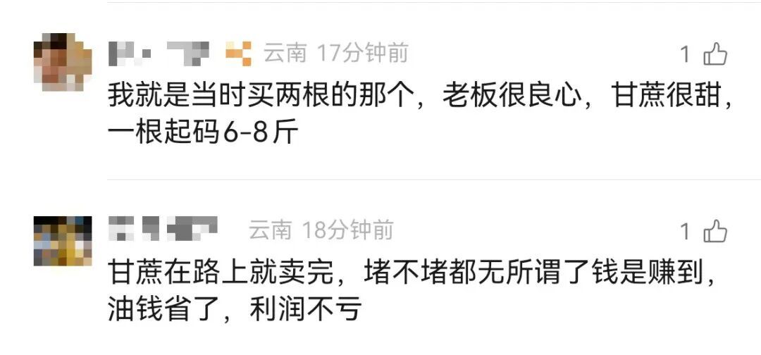 高速堵车一老板原地卖甘蔗走红，目击者：10元一根，不称重