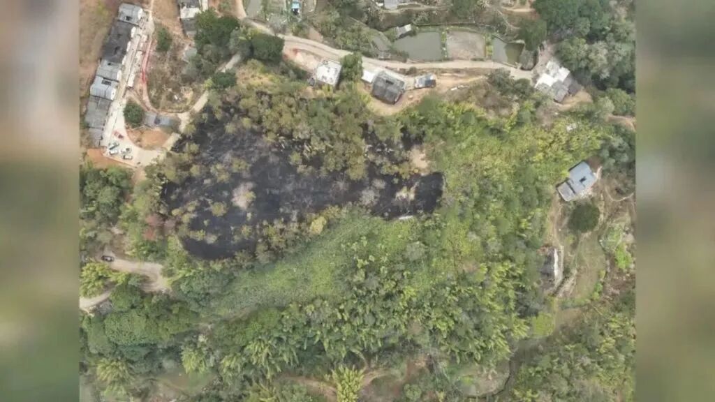 1天内连发5起森林火情，均因违规燃放烟花爆竹