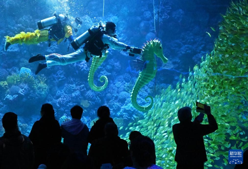 山东青岛：水下“赛马”贺新春