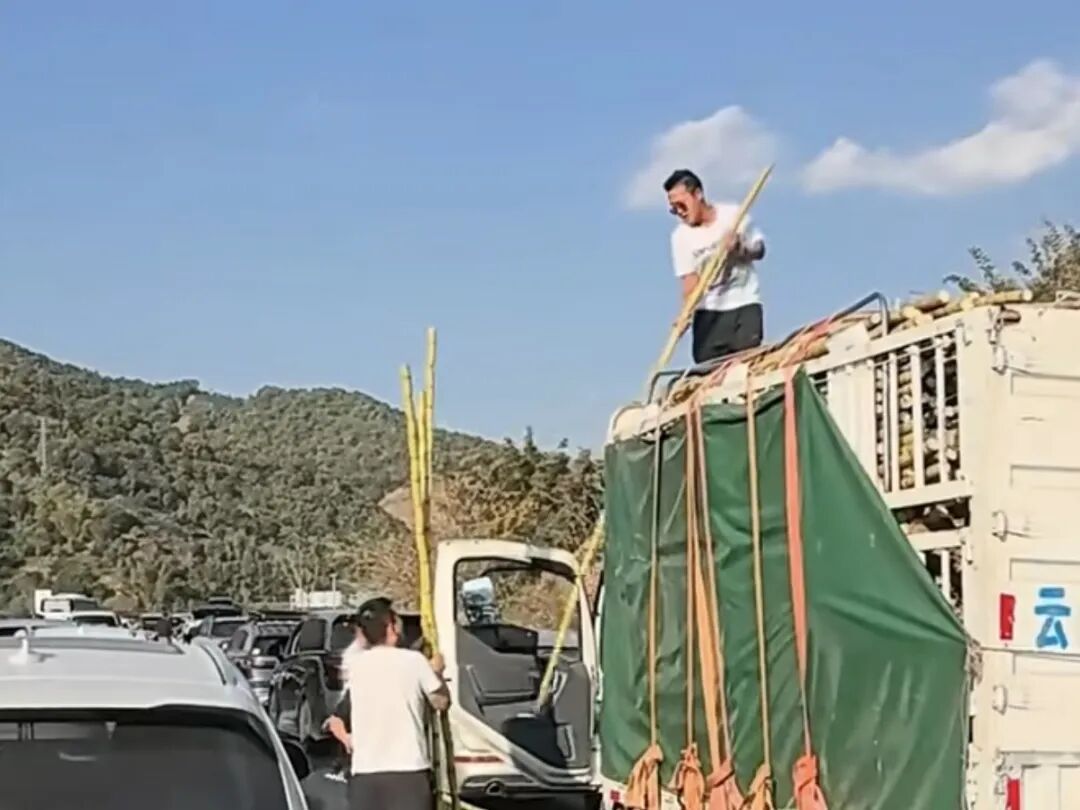 高速堵车一老板原地卖甘蔗走红，目击者：10元一根，不称重