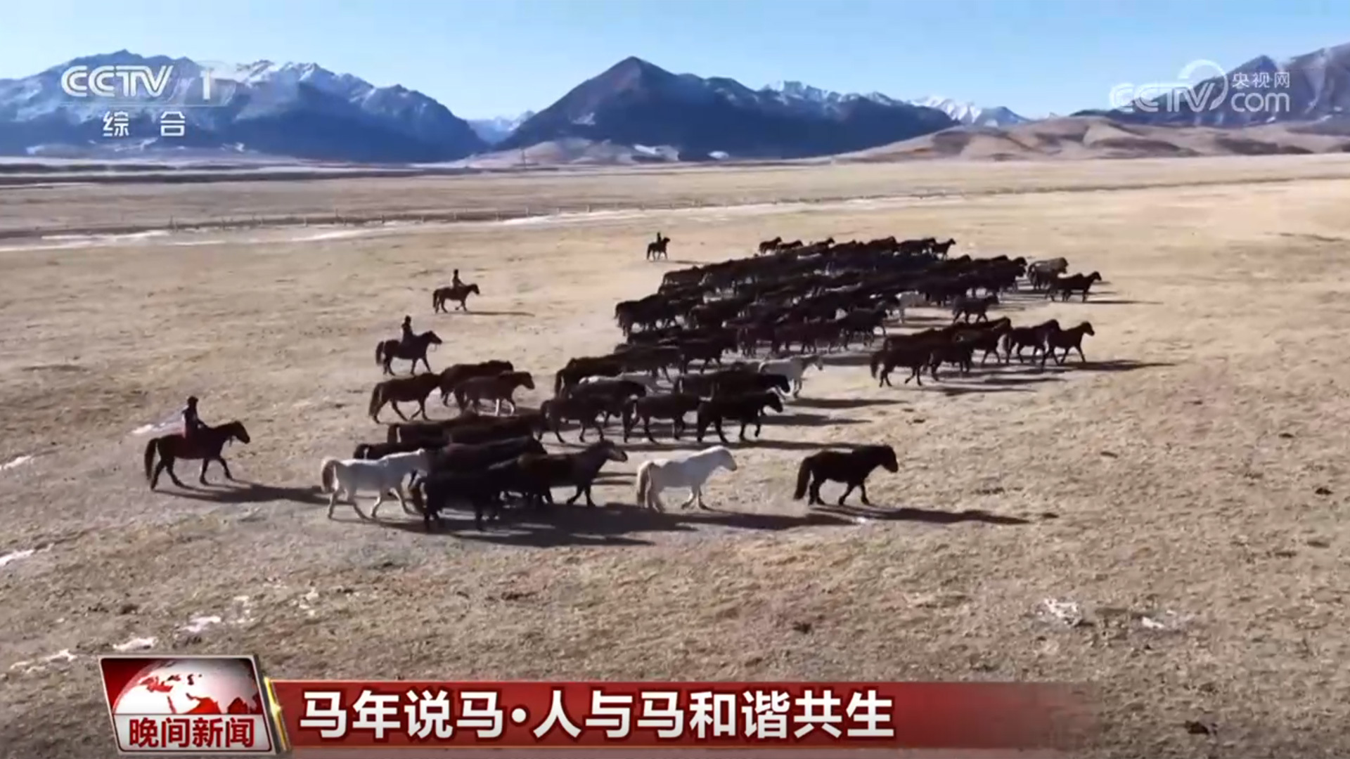 马年说马 人与马和谐共生 马年说马 人与马和谐共生