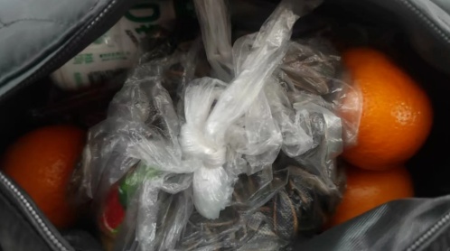 “充电器一拔，又是一年”，亲友欢聚2小时各自离去，男子回看监控落泪