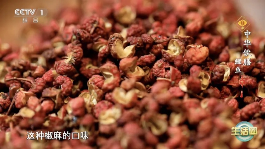 这种鱼便宜又营养，尤其适合春天吃！两种吃法让你脾胃好了，长寿又聪明