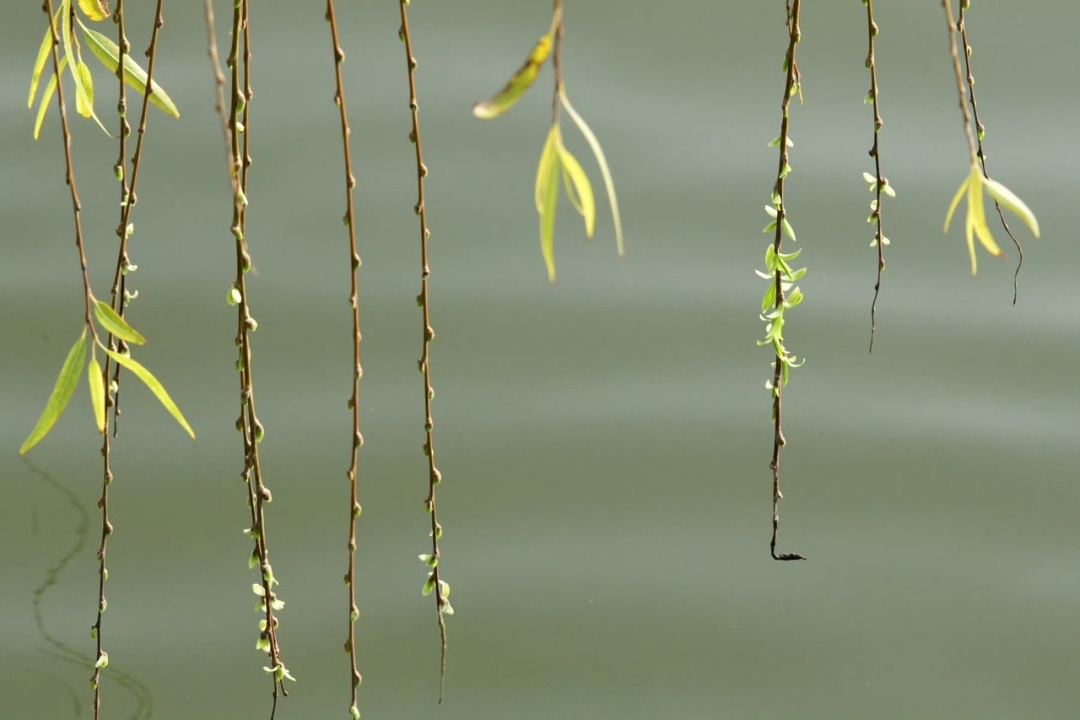 热到破纪录，接着大反转！浙江今起雨一直下，大雨大风要来了