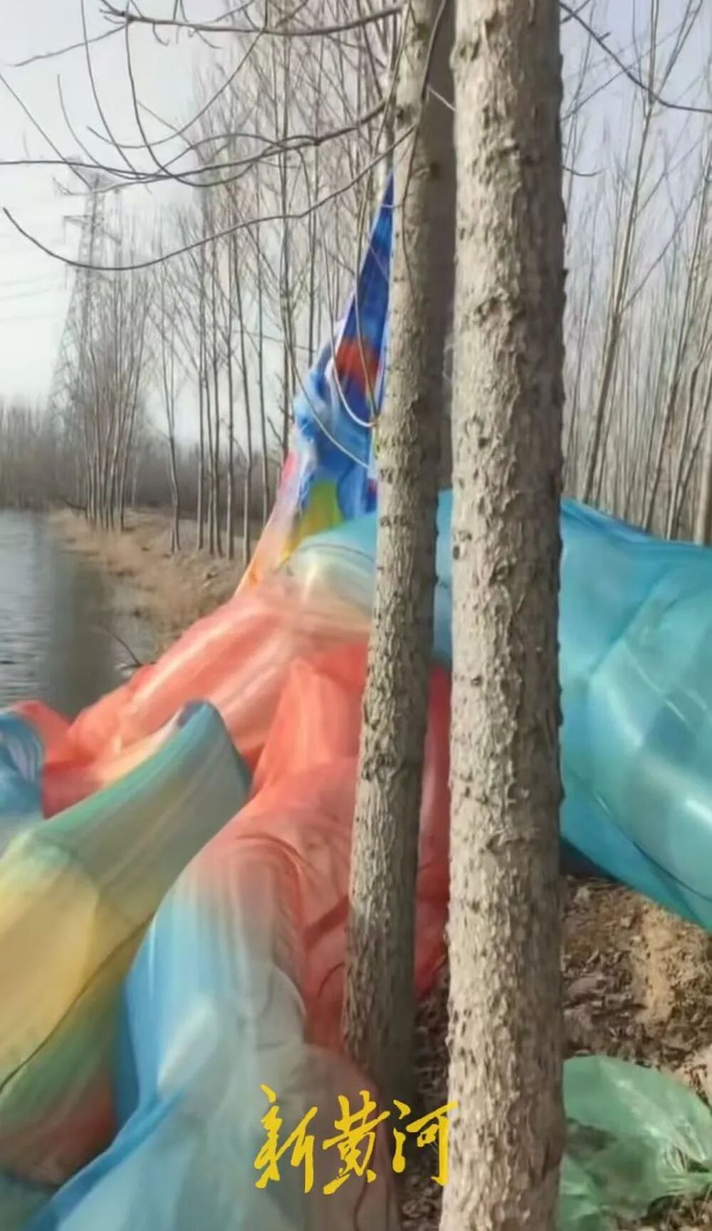 全网关心的济南“出逃”鳌鱼找到了,飞到章丘区一水库,相关负责人:不准备再展出了 全网关心的济南“出逃”鳌鱼找到了,飞到章丘区一水库,相关负责人:不准备再展出了