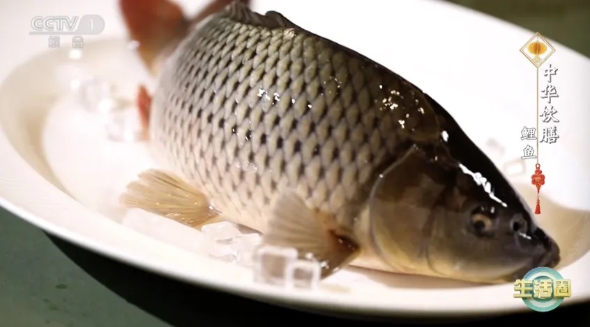 这种鱼便宜又营养，尤其适合春天吃！两种吃法让你脾胃好了，长寿又聪明