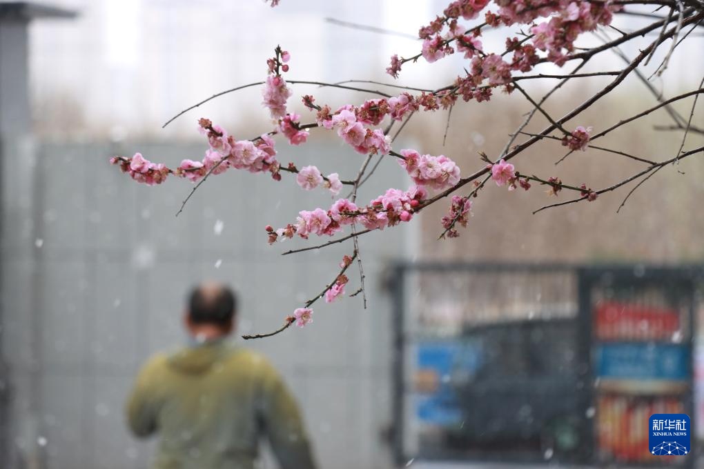 新春伊始迎降雪