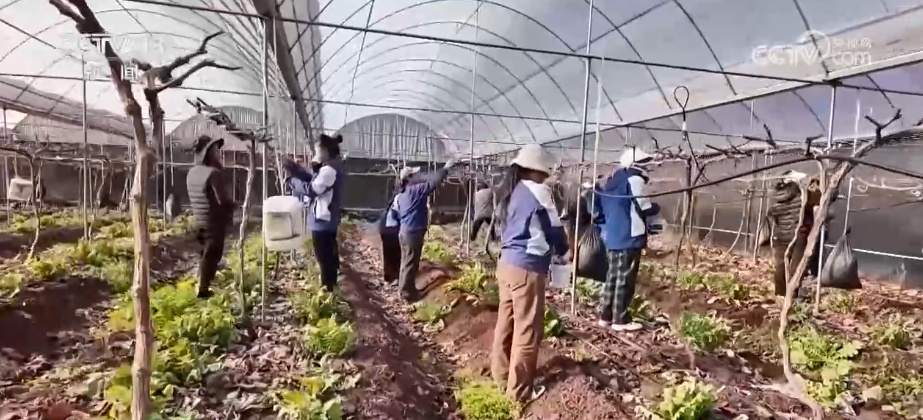 “稳得住，逐步能致富”！从“资源”到“优势” 用人才培育激活产业动能