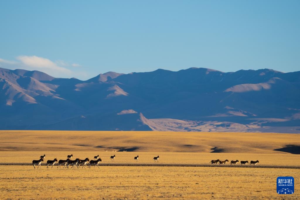 镜观中国丨影像回眸“十四五”——生态优先 绿色发展