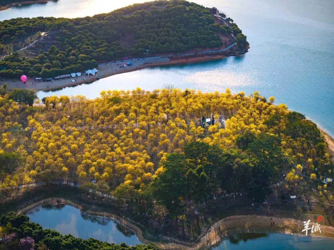 广东雨水也“复工”，本周华南局地将有大到暴雨
