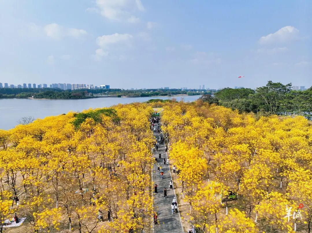 广东雨水也“复工”，本周华南局地将有大到暴雨