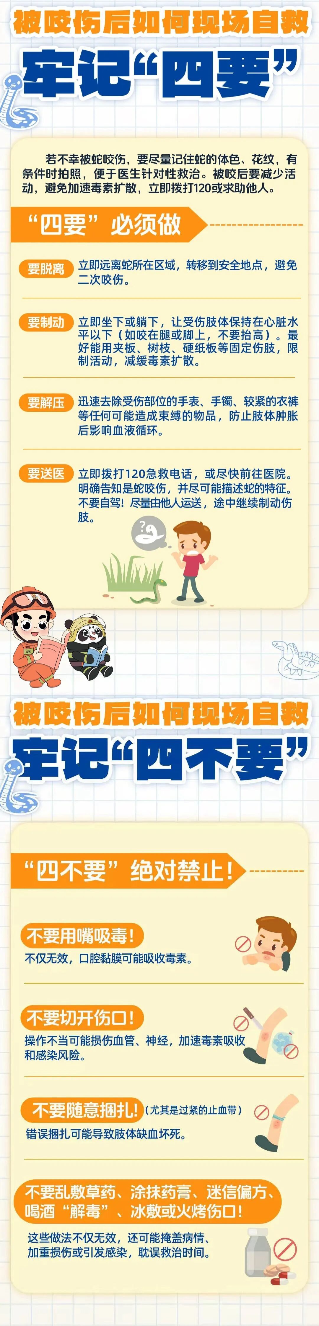 头皮发麻!野餐垫里突然掉出长蛇...... 头皮发麻!野餐垫里突然掉出长蛇......