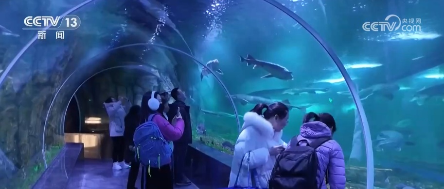 “乐购新春”持续释放春节消费潜力 新场景、新玩法层出不穷