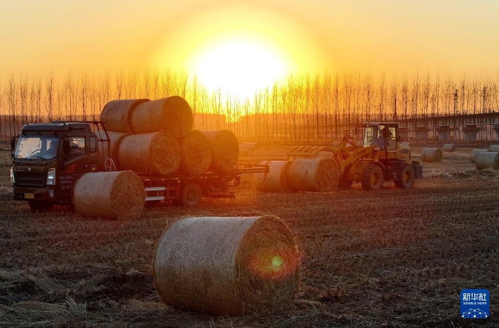 镜观中国丨影像回眸“十四五”——生态优先 绿色发展